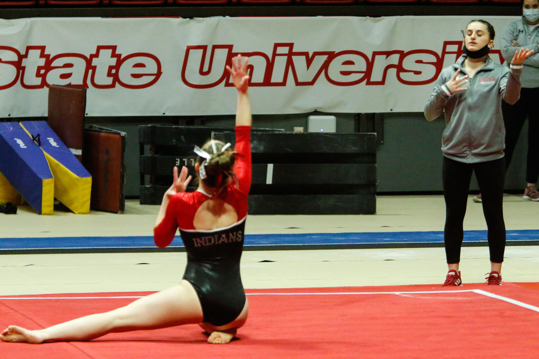 Gymnastics state finals